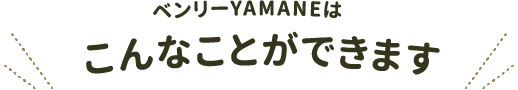 ベンリーYAMANEはこんなことができます